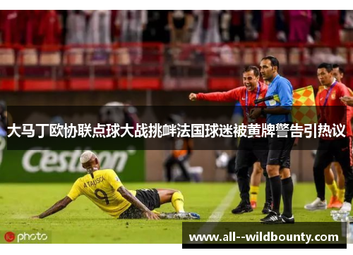大马丁欧协联点球大战挑衅法国球迷被黄牌警告引热议