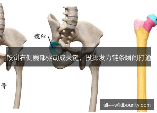 铁饼右侧髋部驱动成关键,投掷发力链条瞬间打通 铁饼右侧髋部驱动成关键,投掷发力链条瞬间打通