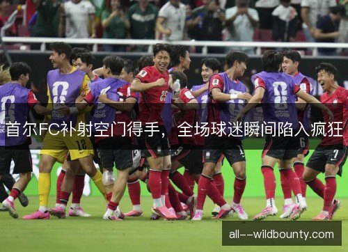 首尔FC补射空门得手，全场球迷瞬间陷入疯狂